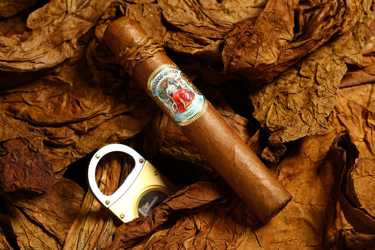 ROBUSTO